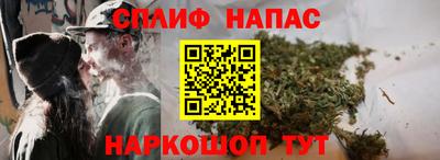 прущие грибы Канаш