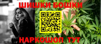 прущие грибы Канаш