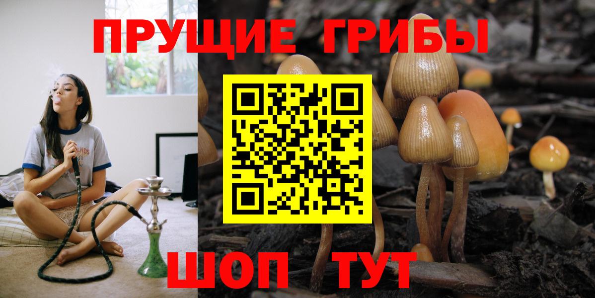 Псилоцибиновые грибы ЛСД Среднеуральск